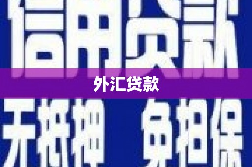 衡东外汇贷款
