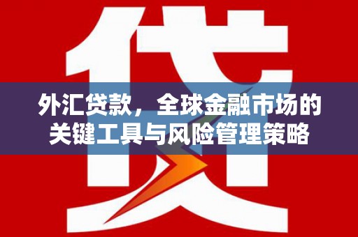 衡东外汇贷款，全球金融市场的关键工具与风险管理策略