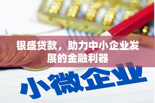 衡东银盛贷款，助力中小企业发展的金融利器