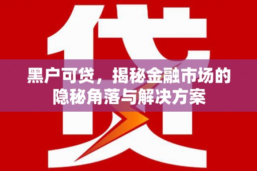 衡东黑户可贷，揭秘金融市场的隐秘角落与解决方案