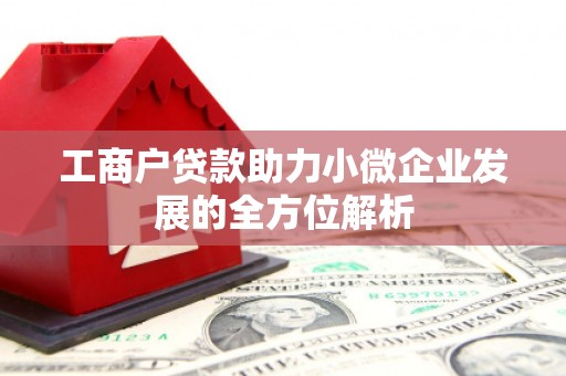 衡东工商户贷款助力小微企业发展的全方位解析
