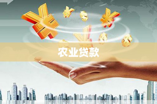 衡东农业贷款