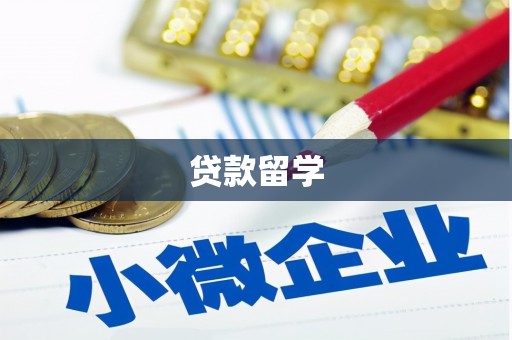 衡东贷款留学