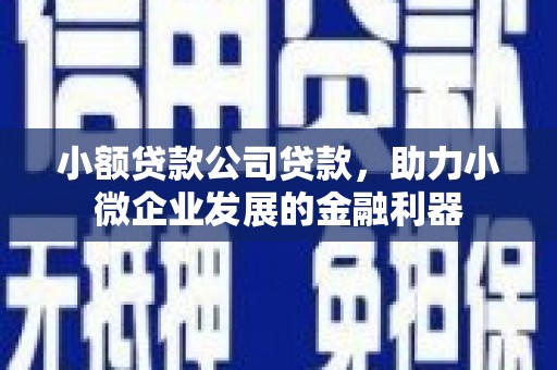 衡东小额贷款公司贷款，助力小微企业发展的金融利器