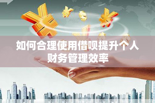 衡东如何合理使用借呗提升个人财务管理效率