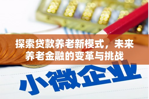 衡东探索贷款养老新模式，未来养老金融的变革与挑战