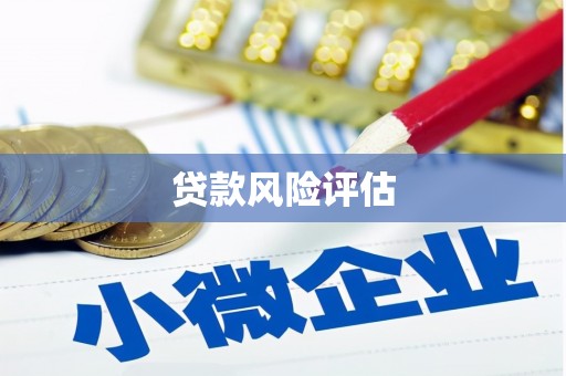 衡东贷款风险评估