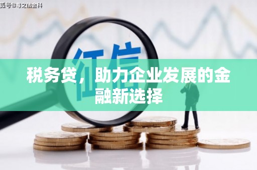 衡东税务贷，助力企业发展的金融新选择
