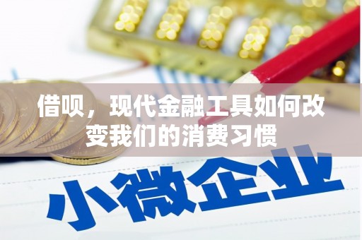 衡东借呗，现代金融工具如何改变我们的消费习惯