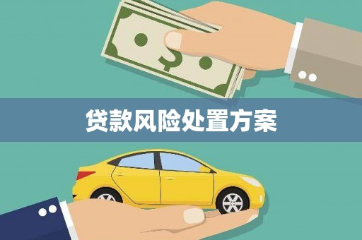 衡东贷款风险处置方案