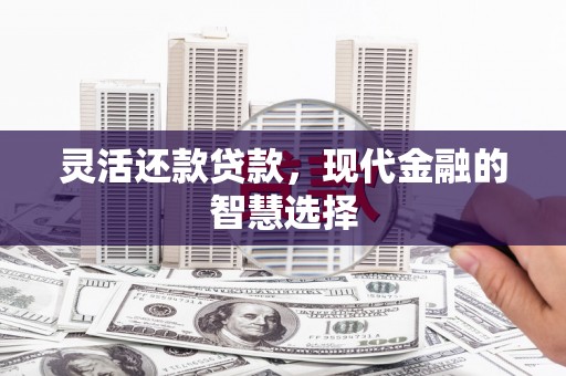 衡东灵活还款贷款，现代金融的智慧选择