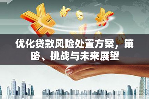 衡东优化贷款风险处置方案，策略、挑战与未来展望