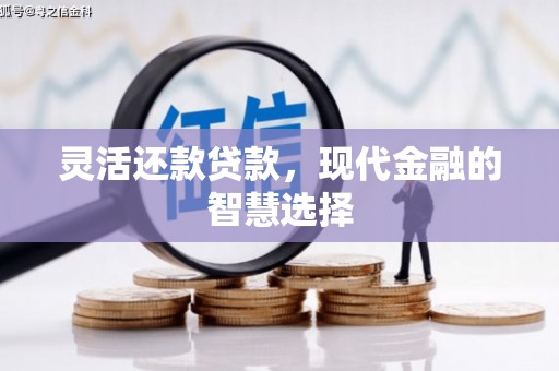 衡东灵活还款贷款，现代金融的智慧选择