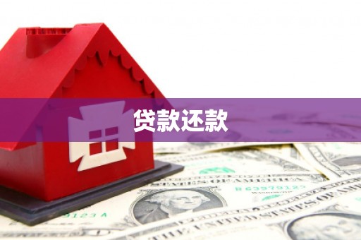 衡东贷款还款