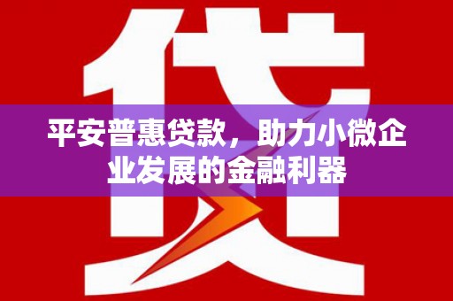 衡东平安普惠贷款，助力小微企业发展的金融利器