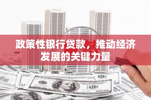 衡东政策性银行贷款，推动经济发展的关键力量