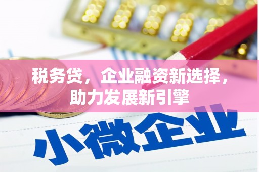 衡东税务贷，企业融资新选择，助力发展新引擎