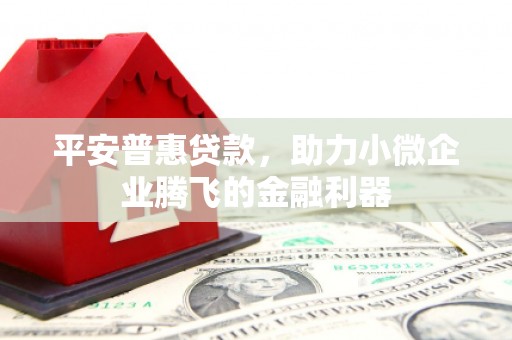 衡东平安普惠贷款，助力小微企业腾飞的金融利器