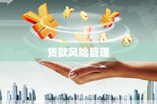 衡东贷款风险管理