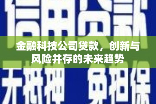 衡东金融科技公司贷款，创新与风险并存的未来趋势