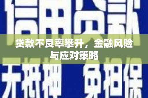 衡东贷款不良率攀升，金融风险与应对策略