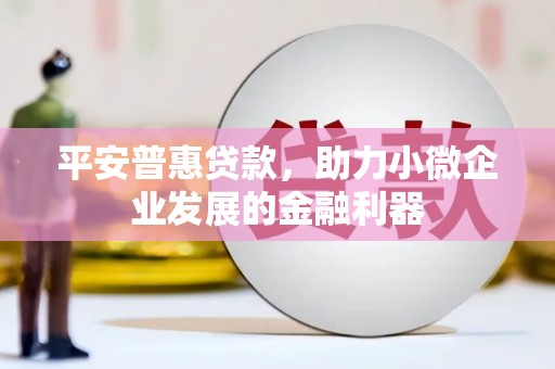 衡东平安普惠贷款，助力小微企业发展的金融利器