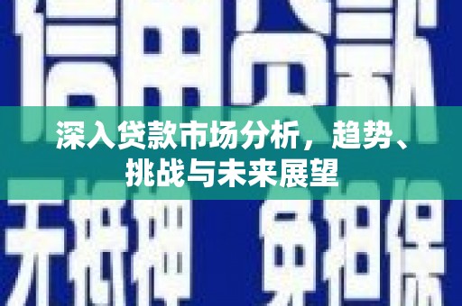 衡东深入贷款市场分析，趋势、挑战与未来展望