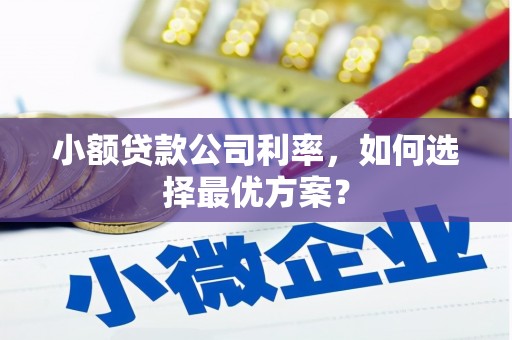 衡东小额贷款公司利率，如何选择最优方案？