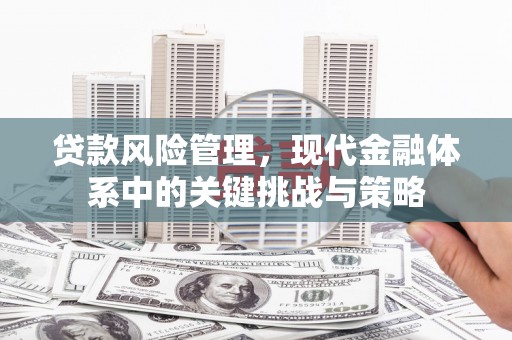衡东贷款风险管理，现代金融体系中的关键挑战与策略