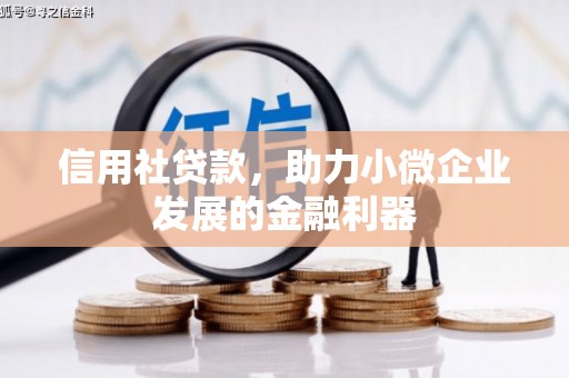 衡东信用社贷款，助力小微企业发展的金融利器