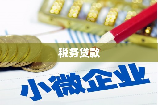 衡东税务贷款