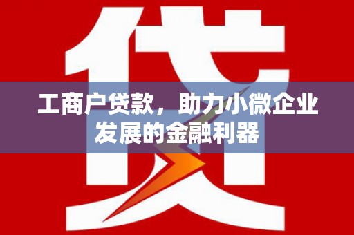 衡东工商户贷款，助力小微企业发展的金融利器