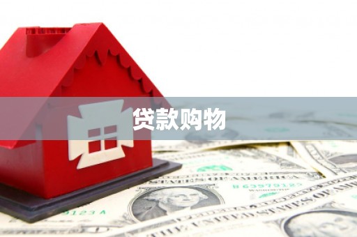 衡东贷款购物