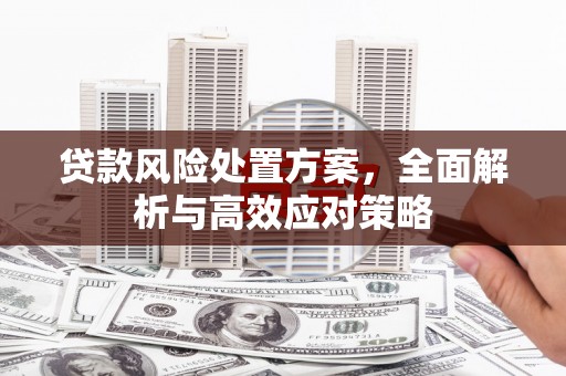 衡东贷款风险处置方案，全面解析与高效应对策略