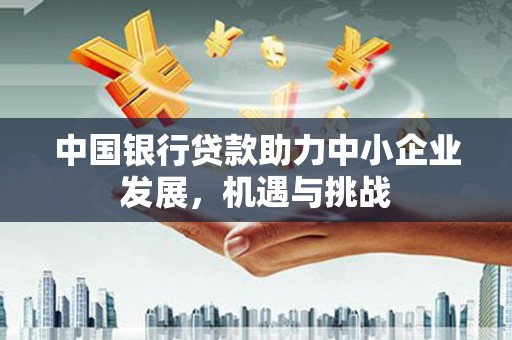 衡东中国银行贷款助力中小企业发展，机遇与挑战