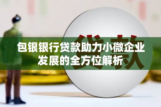 衡东包银银行贷款助力小微企业发展的全方位解析