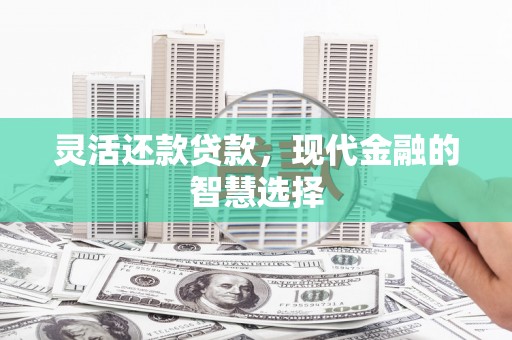 衡东灵活还款贷款，现代金融的智慧选择