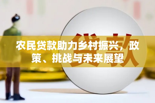 衡东农民贷款助力乡村振兴，政策、挑战与未来展望