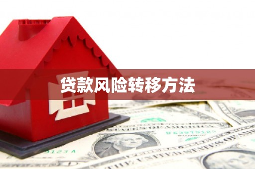 衡东贷款风险转移方法