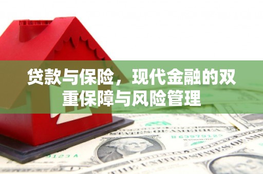 衡东贷款与保险，现代金融的双重保障与风险管理