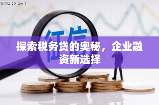 衡东探索税务贷的奥秘，企业融资新选择