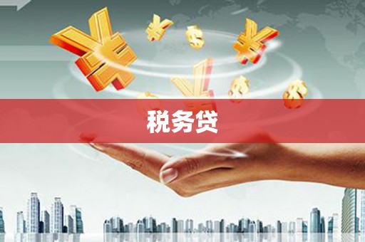 衡东税务贷