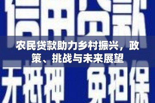 衡东农民贷款助力乡村振兴，政策、挑战与未来展望
