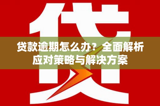 衡东贷款逾期怎么办？全面解析应对策略与解决方案