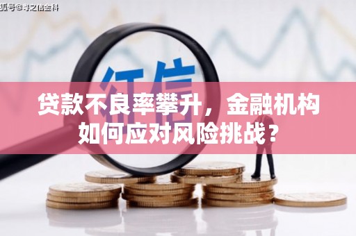 衡东贷款不良率攀升，金融机构如何应对风险挑战？