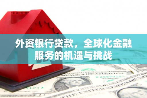 衡东外资银行贷款，全球化金融服务的机遇与挑战