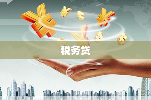 衡东税务贷