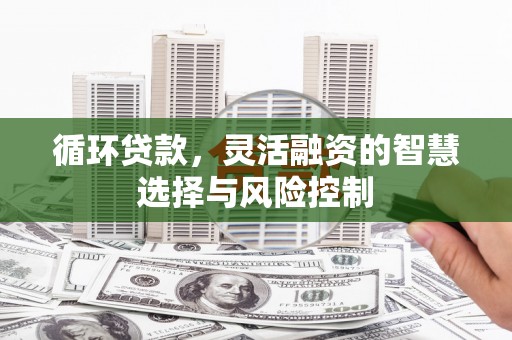 衡东循环贷款，灵活融资的智慧选择与风险控制