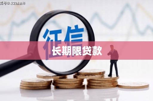 衡东长期限贷款
