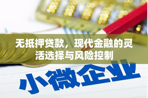 衡东无抵押贷款，现代金融的灵活选择与风险控制